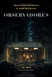 Os Observadores