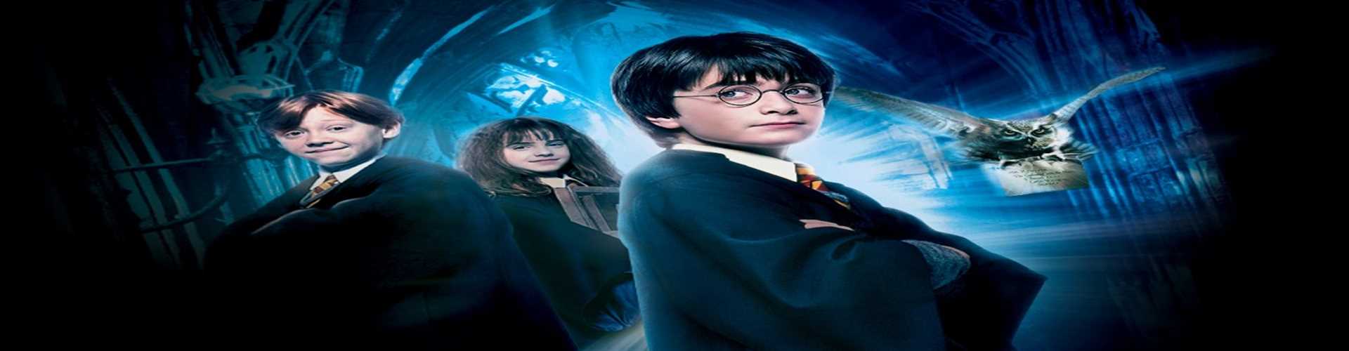 Harry Potter e a Pedra Filosofal.